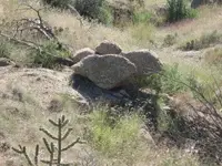 IMG_0740c.webp