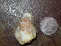 specimen 006.webp