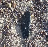 342006knifeinsitu.webp