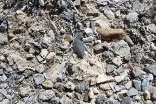 3182007insitu5.webp