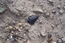 elko1insitu72307.webp