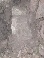 20240624_001923.webp