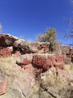 20211007_113433.webp