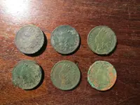 Tribe Obverse 073024.webp