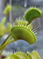 20240801_184514.webp