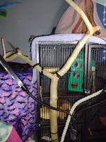 IMG_20240802_204958462.webp