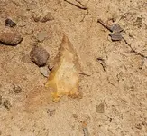 20240805_132315.webp