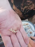 20240801_191524.webp
