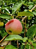 20240809_083117.webp