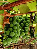 20240809_083016.webp