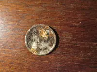 Token Reverse 081324.webp
