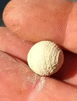 Marble-2.webp