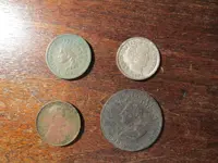 Finds 081924.webp