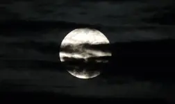 DSCN5230.webp