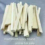 Mammoth-Ivory-Chunky-Stick-Lot-58_cfa57d49-8250-44ef-a825-52fc3cc62b51_grande.webp