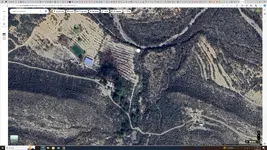 robalo_1.webp
