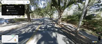 oak trees.webp