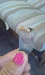 FB_IMG_1620824469000_Original.webp