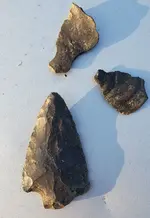 20240826_082823.jpg