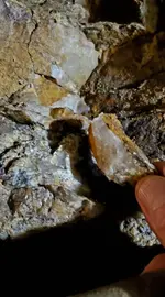 20230214_112131.webp