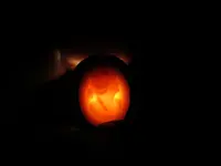 Back-lit 090724.webp