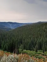 20240910_093239.webp