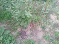 20240911_194128.webp