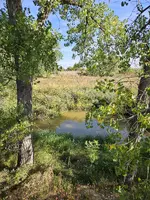 20240911_095356.webp