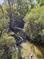 20240911_103627.webp