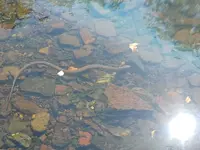 20240914_130253.webp