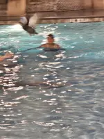 20240916_194511.webp