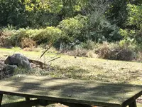 hillwhere seated was.webp