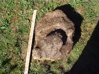 Rock Pile 9.webp