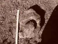 Rock pile 6.webp