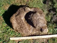 Rock pile 11.webp