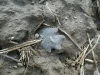 Picture 179.webp