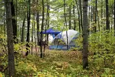 tent.webp