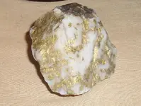 gold 2 001.webp