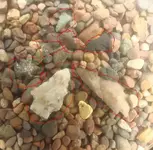 water scope.webp
