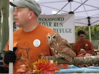 Screech1.webp