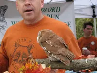 Screech2.webp
