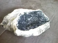 0912081700[1].webp