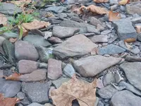 20240922_164350.webp