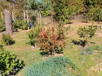 IMG_20240926_123653018.webp