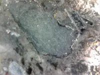 zm.webp