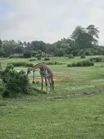 20240916_081304.webp