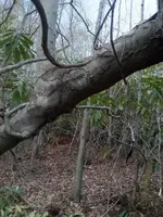 20240421_191124.webp