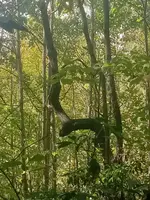 20240930_154814.webp