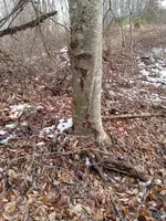 20230116_122708.webp