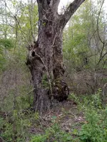 20230502_183114.webp